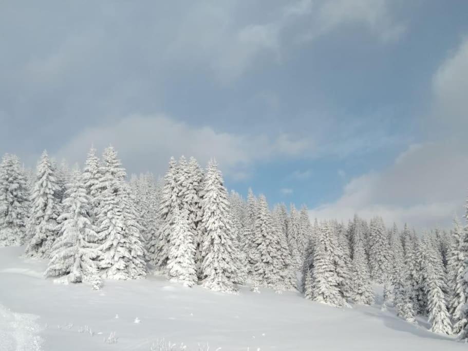 Appartamento L' Aier - Arabba - Dolomiti Livinallongo Del Col Di Lana Zewnętrze zdjęcie