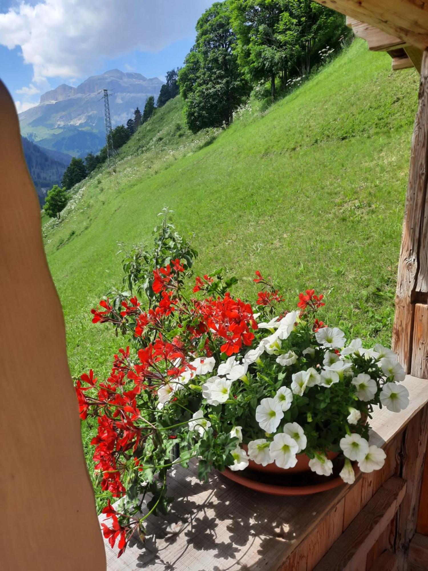 Appartamento L' Aier - Arabba - Dolomiti Livinallongo Del Col Di Lana Zewnętrze zdjęcie